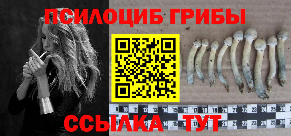 Псилоцибиновые грибы Magic Shrooms  Галлюциногенные грибы прущие грибы  Вход с VPN  Вольск 