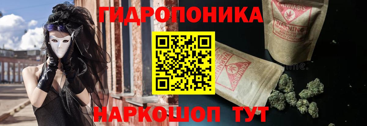 Шишки марихуана Amnesia Вольск